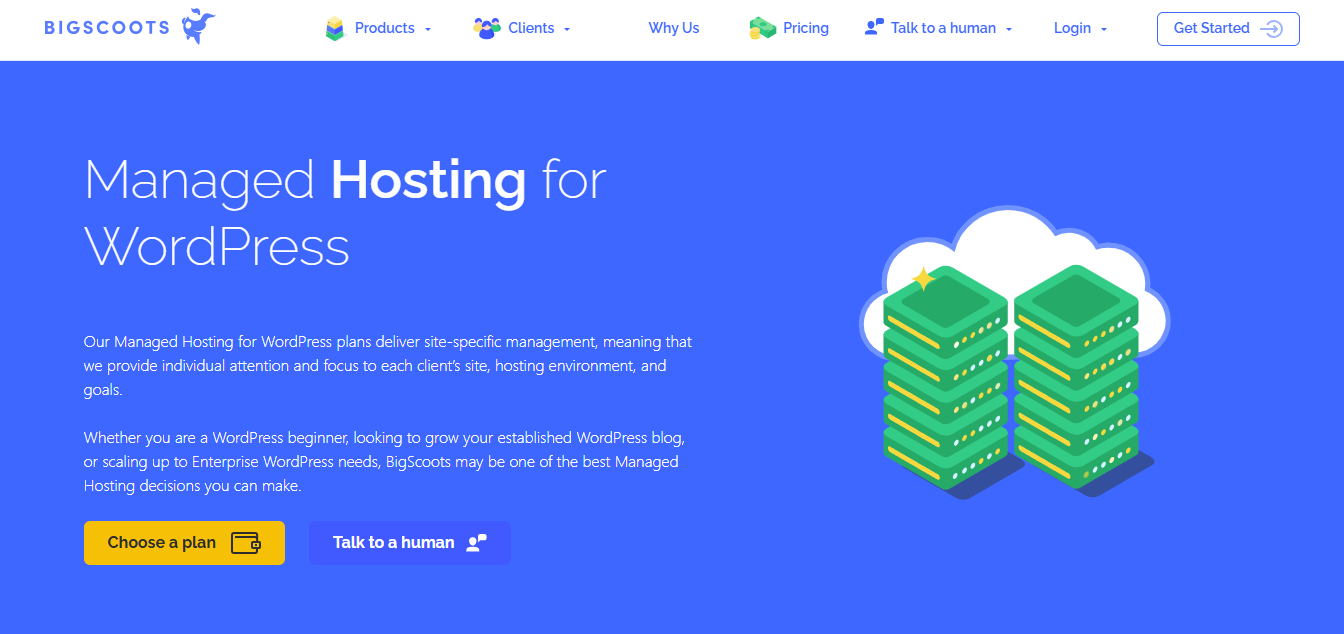 BigScoots Managed WP product screenshot