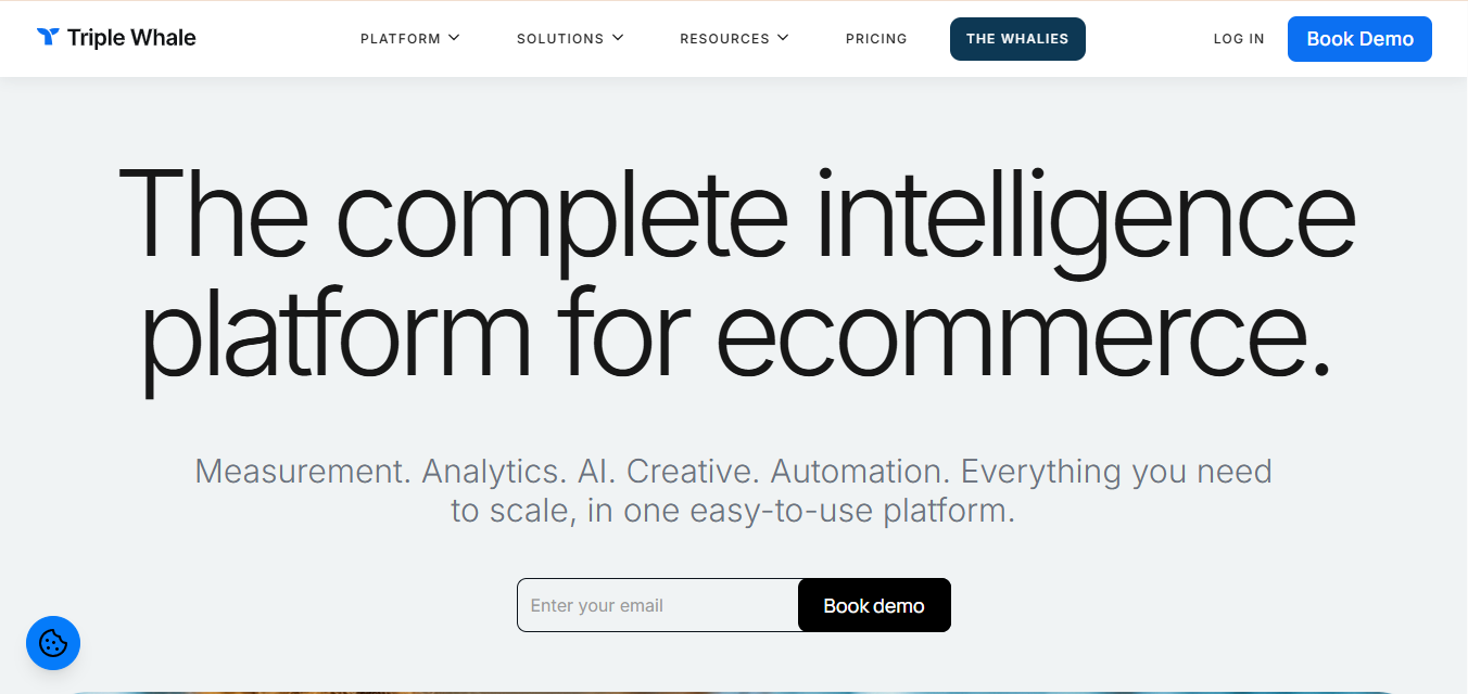 Triple Whale product screenshot