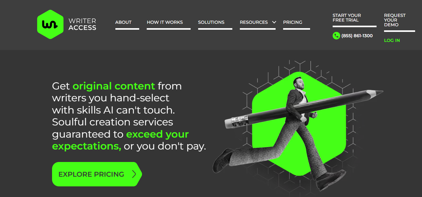 WriterAccess (AI) product screenshot