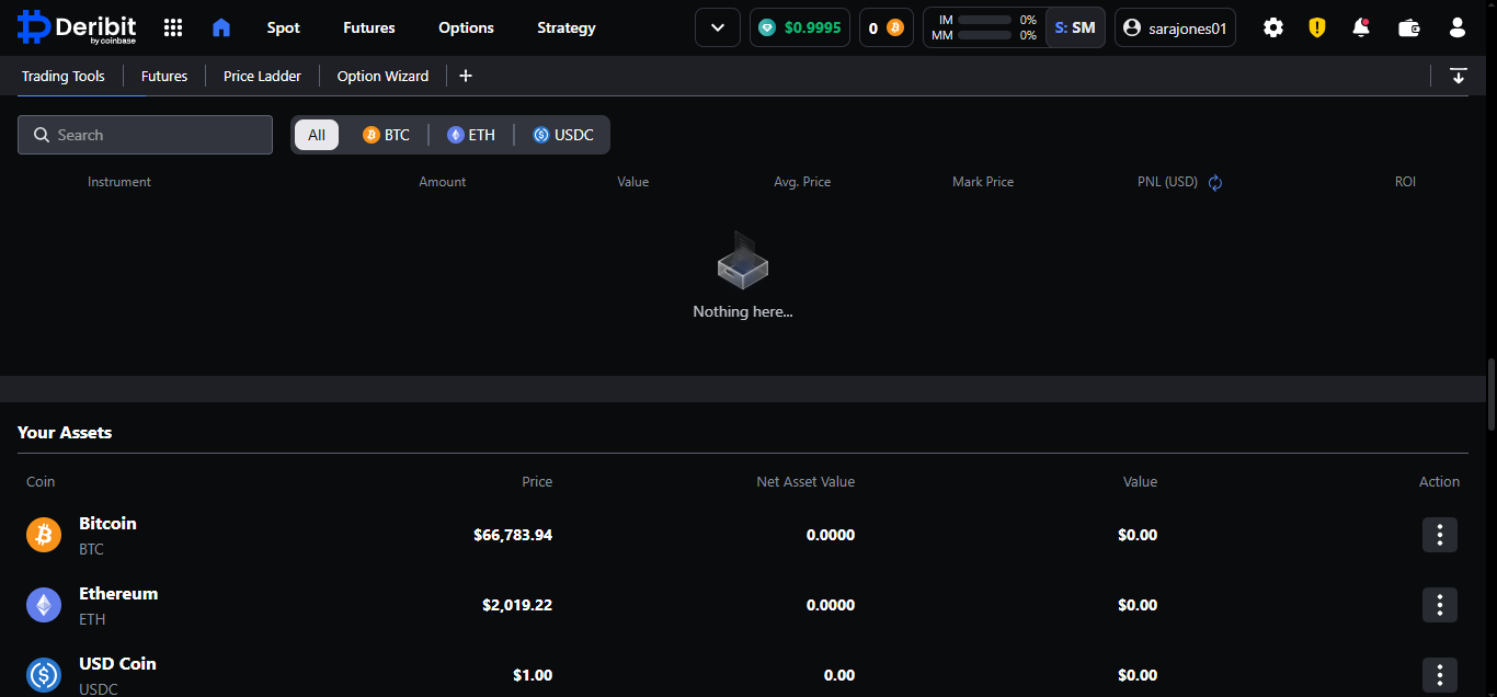 Deribit product screenshot
