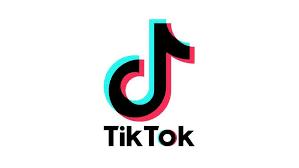 TikTok Watermark Remover