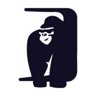 Bouncer