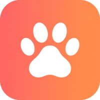 Pet Video