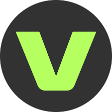Fabric 1.0 by VEED