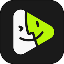 Vidmage