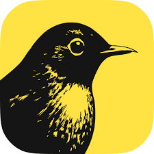 Revealbot Creative Tester (AI)